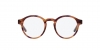 AR7206F Eyeglasses