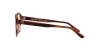 AR7206F Eyeglasses