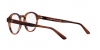 AR7206F Eyeglasses
