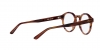AR7206F Eyeglasses
