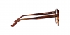 AR7206F Eyeglasses