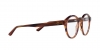 AR7206F Eyeglasses