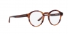AR7206F Eyeglasses