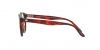 AR7227 Eyeglasses