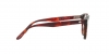 AR7227 Eyeglasses