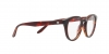 AR7227 Eyeglasses