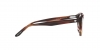 AR7227 Eyeglasses