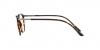 AR7236 Eyeglasses