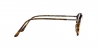 AR7237F Eyeglasses