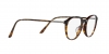 AR7237F Eyeglasses
