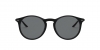 AR8121 Sunglasses