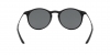 AR8121 Sunglasses