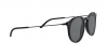AR8121 Sunglasses