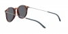 AR8121 Sunglasses