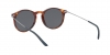 AR8121 Sunglasses