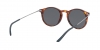 AR8121 Sunglasses