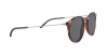 AR8121 Sunglasses