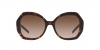 AR8180 Sunglasses