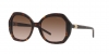 AR8180 Sunglasses
