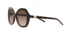 AR8180 Sunglasses