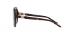AR8180 Sunglasses