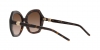 AR8180 Sunglasses