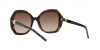 AR8180 Sunglasses