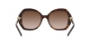 AR8180 Sunglasses