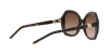 AR8180 Sunglasses