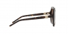 AR8180 Sunglasses