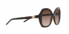 AR8180 Sunglasses