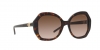 AR8180 Sunglasses