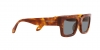 AR8184U Sunglasses