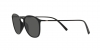 AR8186U Sunglasses