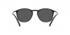 AR8186U Sunglasses