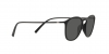 AR8186U Sunglasses