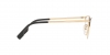 BE1338D Eyeglasses