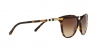 BE4216 Sunglasses