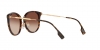 BE4289D Sunglasses