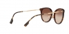 BE4289D Sunglasses