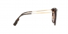 BE4289D Sunglasses