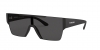 BE4291 Sunglasses