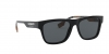 BE4293 Sunglasses