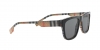BE4293 Sunglasses