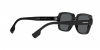 BE4349 Eldon Sunglasses