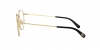 DG1322 Eyeglasses