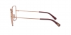 DG1323 Eyeglasses