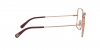 DG1323 Eyeglasses