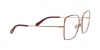 DG1323 Eyeglasses