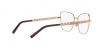 0DG1346 1333 OPTICAL